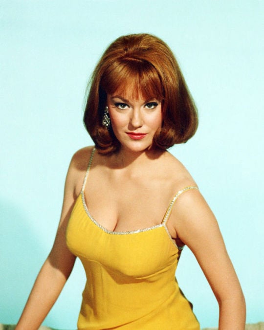 Barbara Rhoades