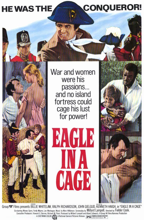 Eagle In A Cage
